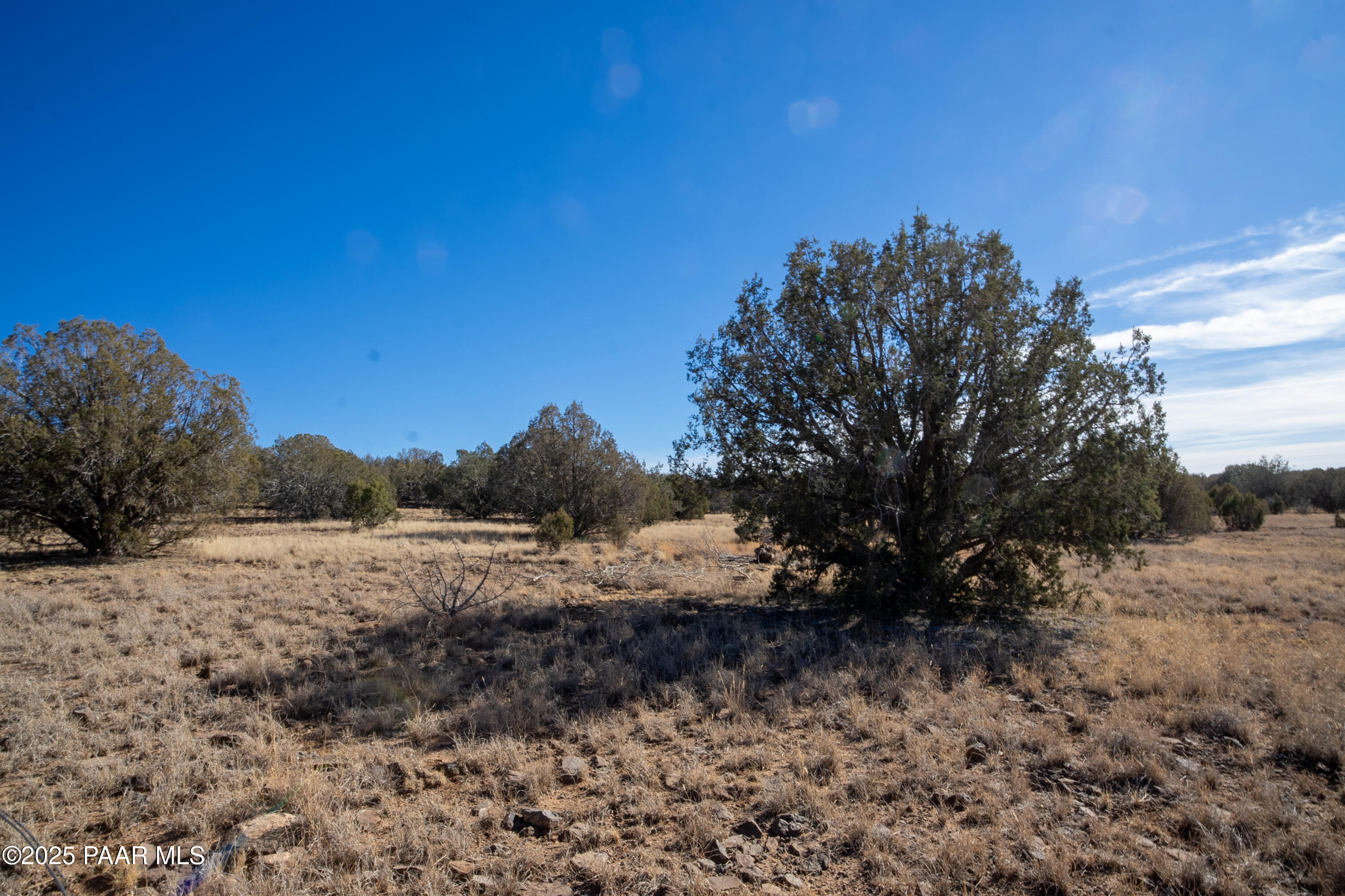 Lot 102 Raz Road Williams, AZ 86046 - Photo 55 of 86 NK202067-HDR