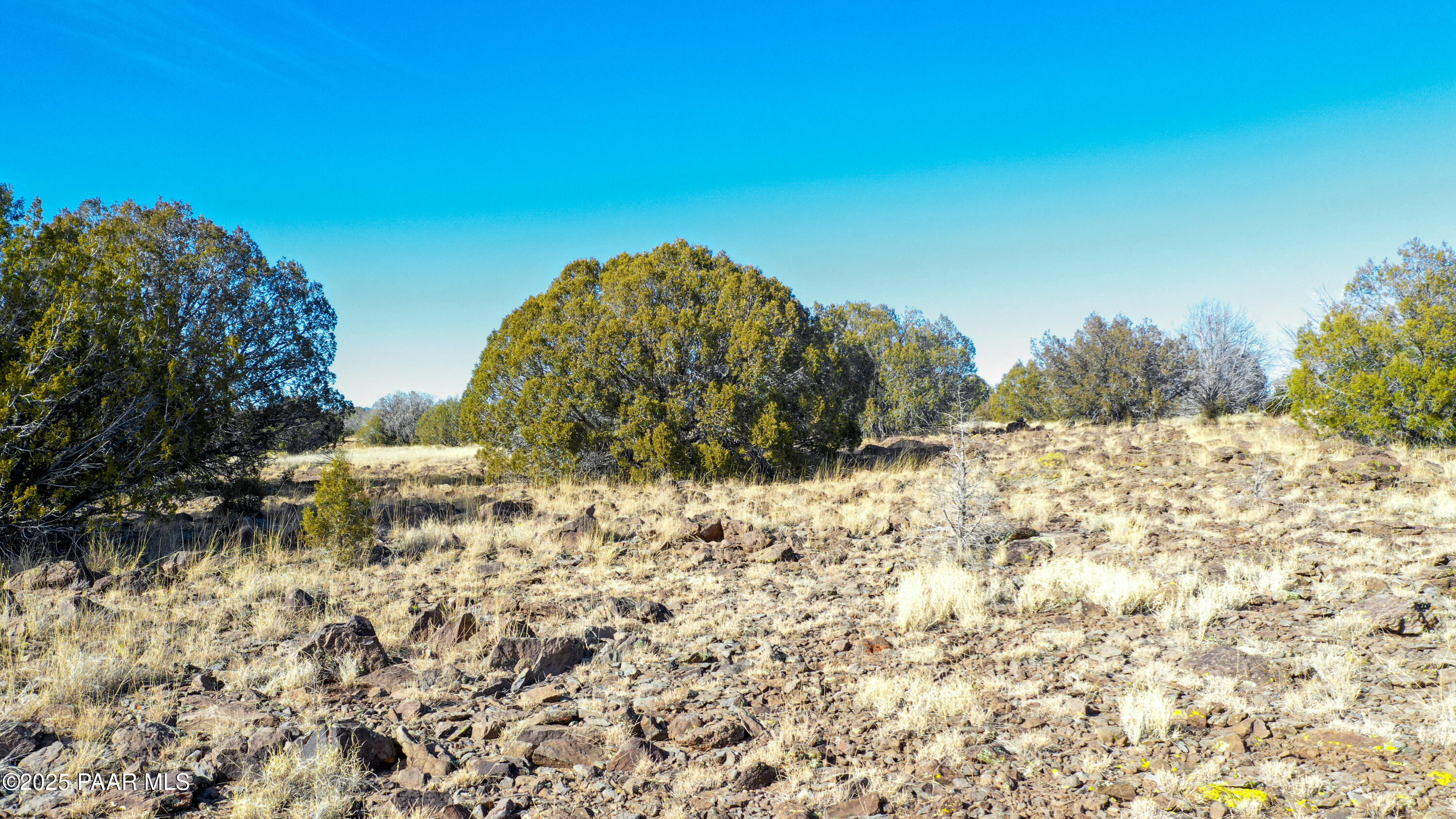 Lot 102 Raz Road Williams, AZ 86046 - Photo 67 of 86 DJI_0136