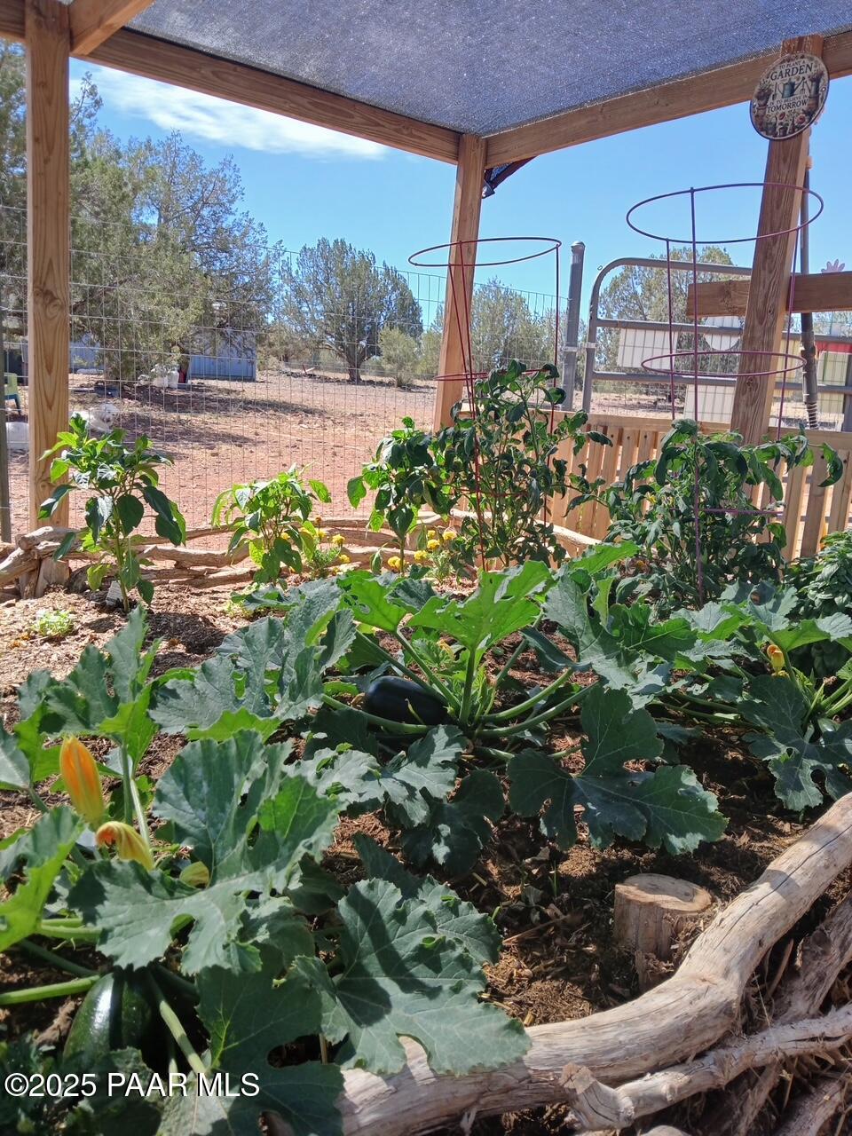 Lot 102 Raz Road Williams, AZ 86046 - Photo 77 of 86 4688923616207230588