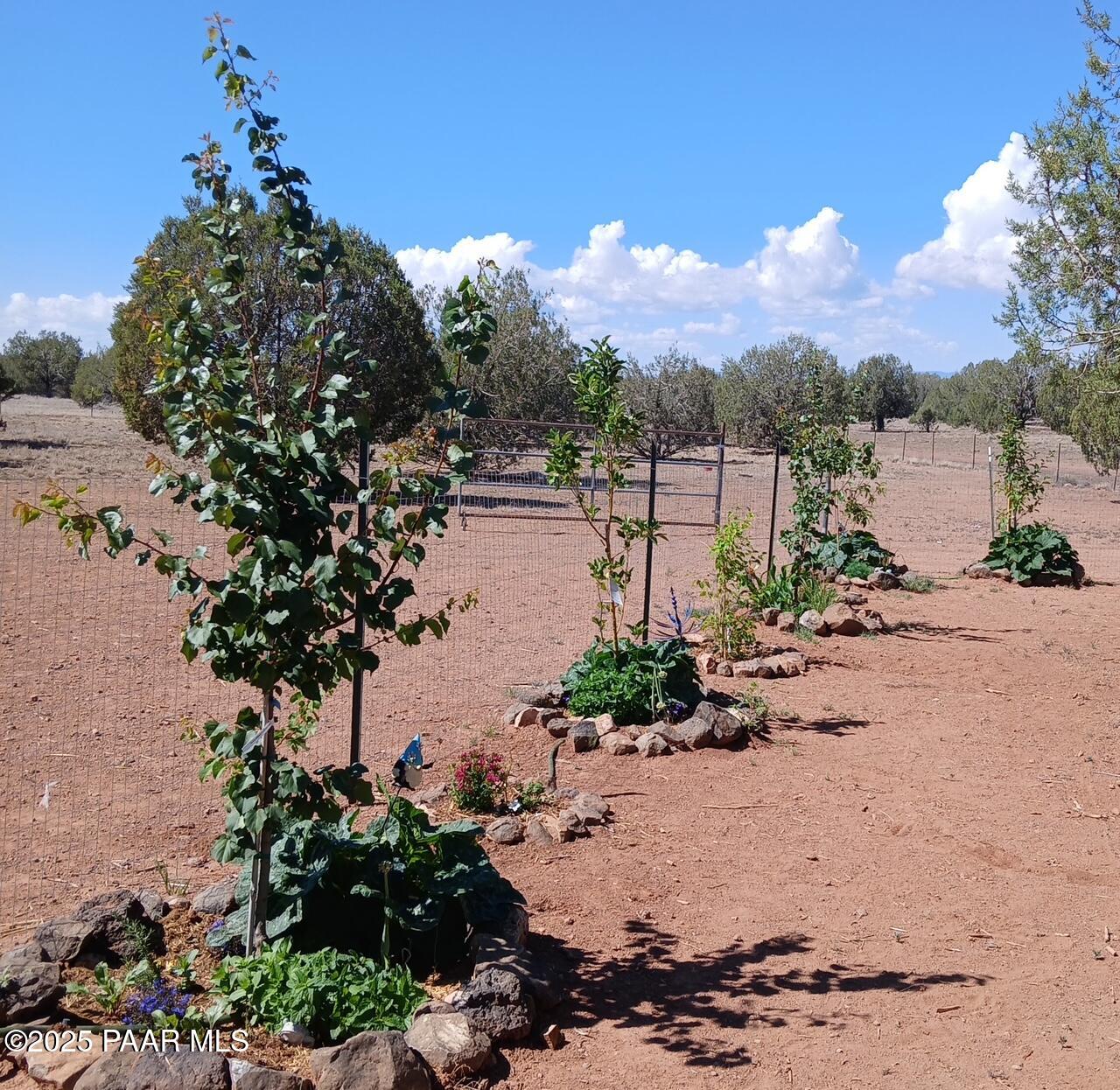 Lot 102 Raz Road Williams, AZ 86046 - Photo 78 of 86 1109692131687590855