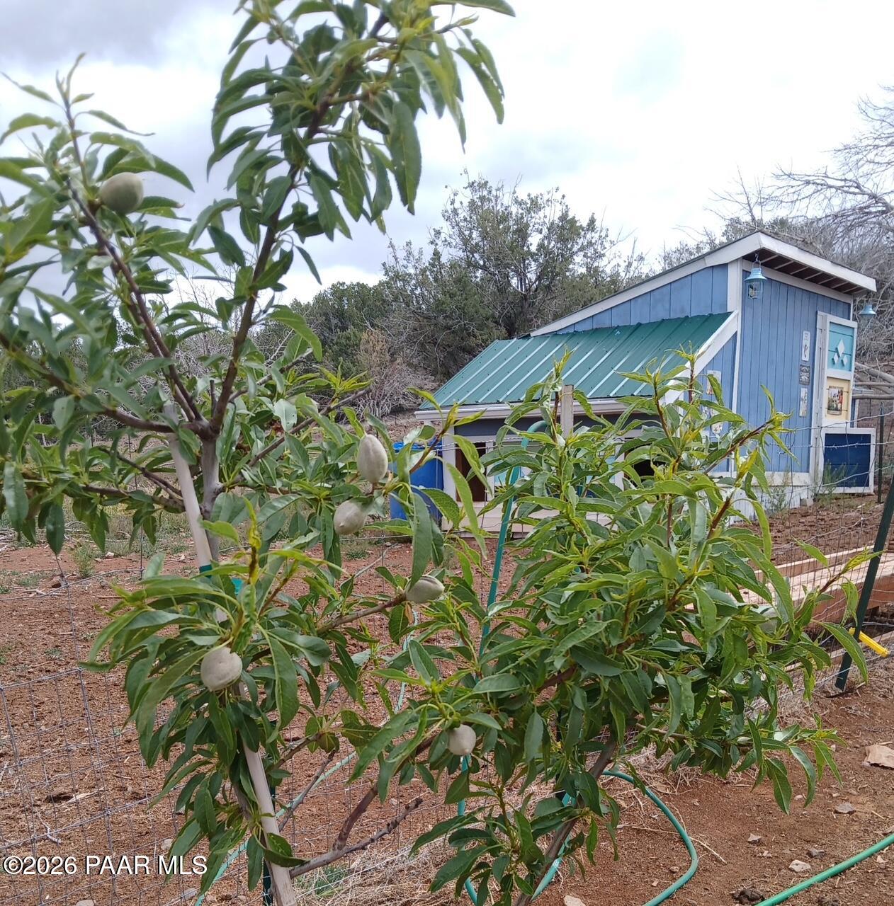 Lot 102 Raz Road Williams, AZ 86046 - Photo 83 of 86 20260414_101139