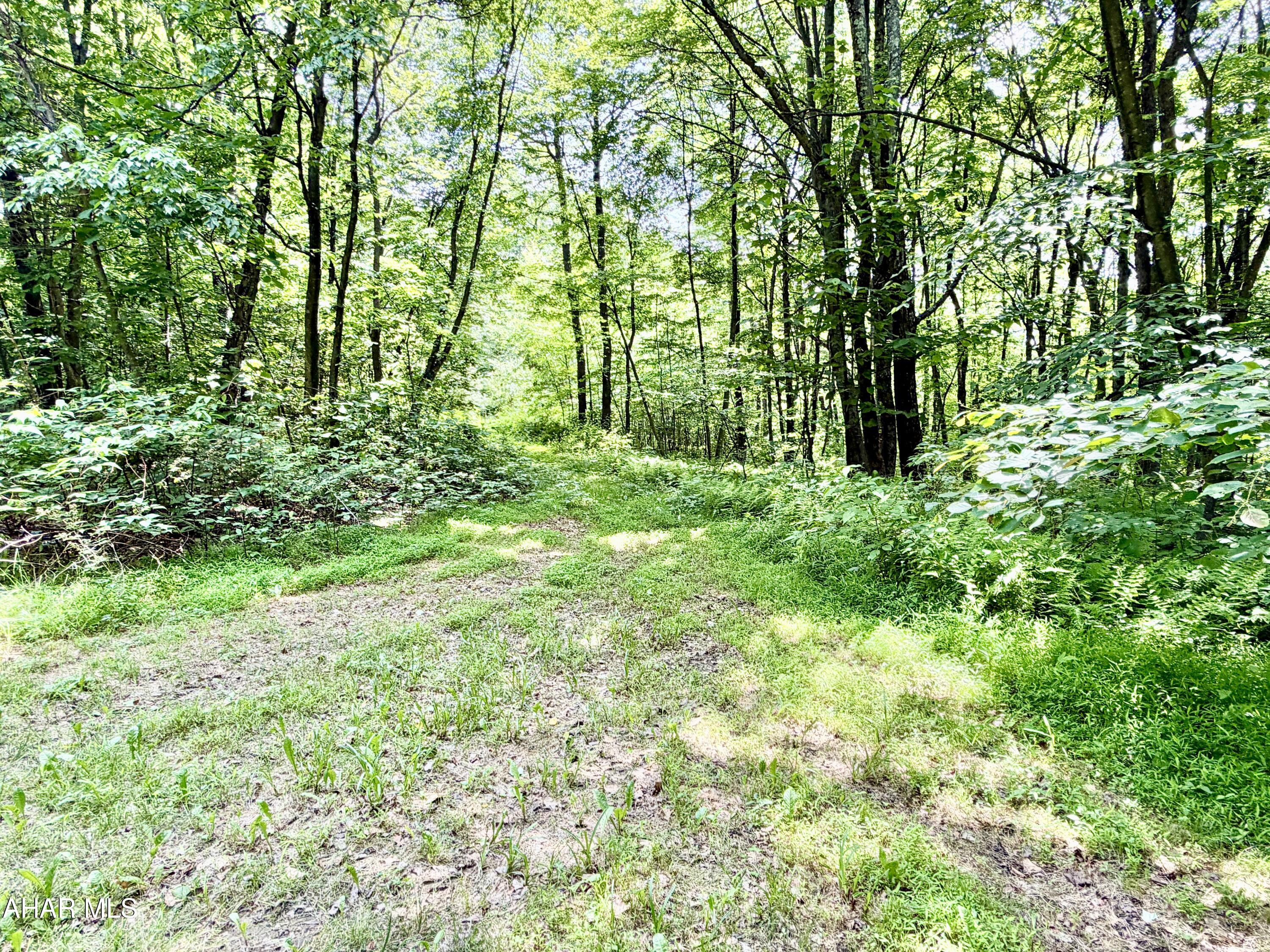 190 Thunder Rock Road Crystal Spring, PA 15536 - Photo 24 of 26 Gallery Image 24