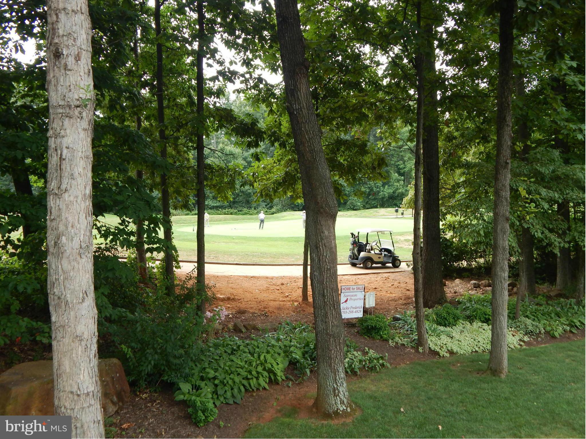 14261 Clubhouse Road Gainesville, VA 20155 - Photo 29 of 30 Exterior (Rear)