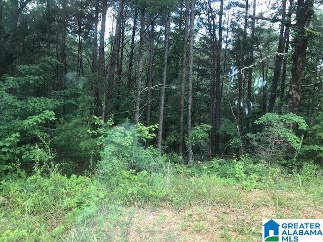 Mountain View Vance, AL 35490 - Photo 22 of 28
