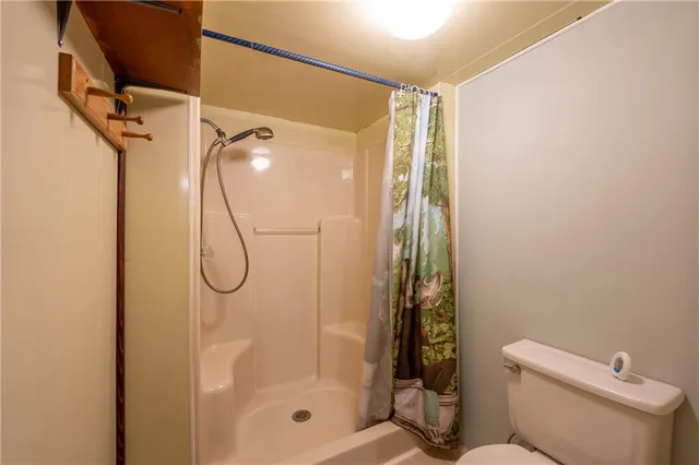 a bathroom with a shower and a toilet