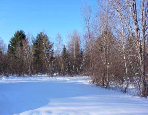 27 Whitaker Road Newport, ME 04953 - Photo 20 of 24 Land/Lot.