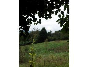 165 Sparks Road Johnson City, TN 37601 - Photo 2 of 5 Photo 2
