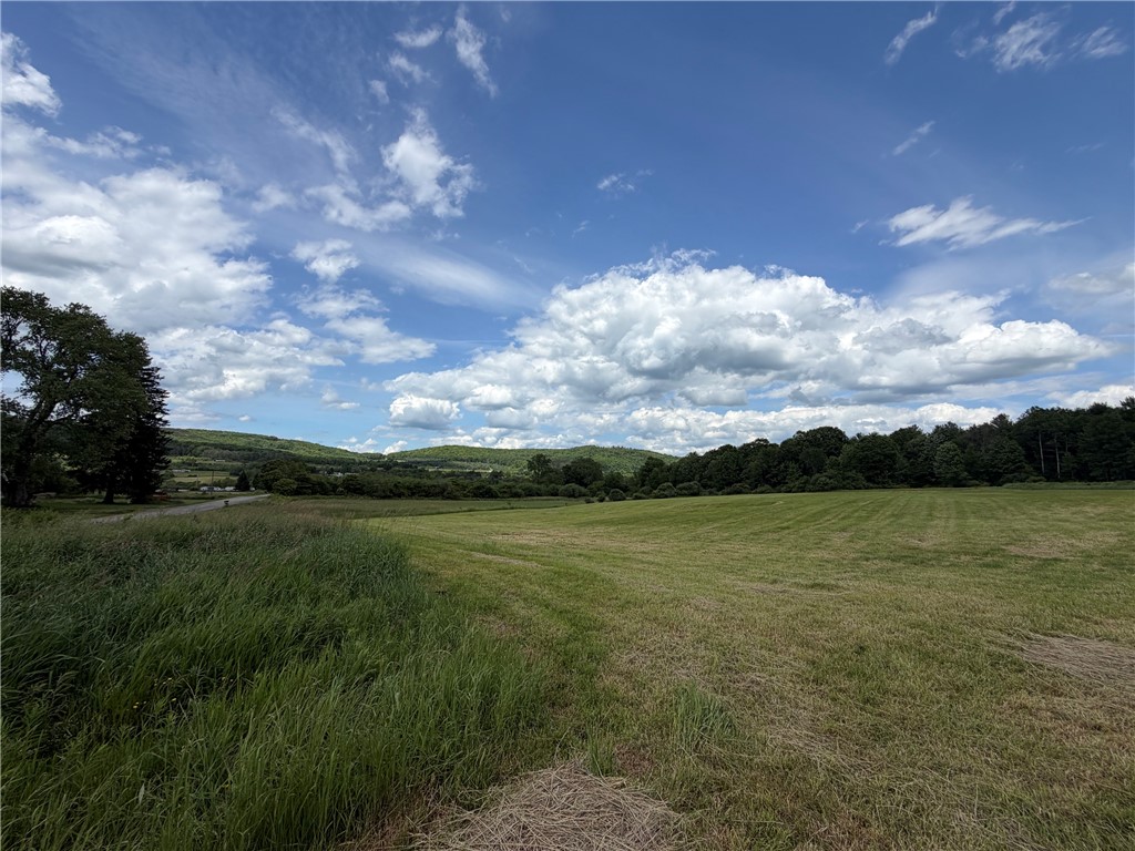 Lot 9 Summit Road Cuba, NY 14727 - Photo 12 of 22