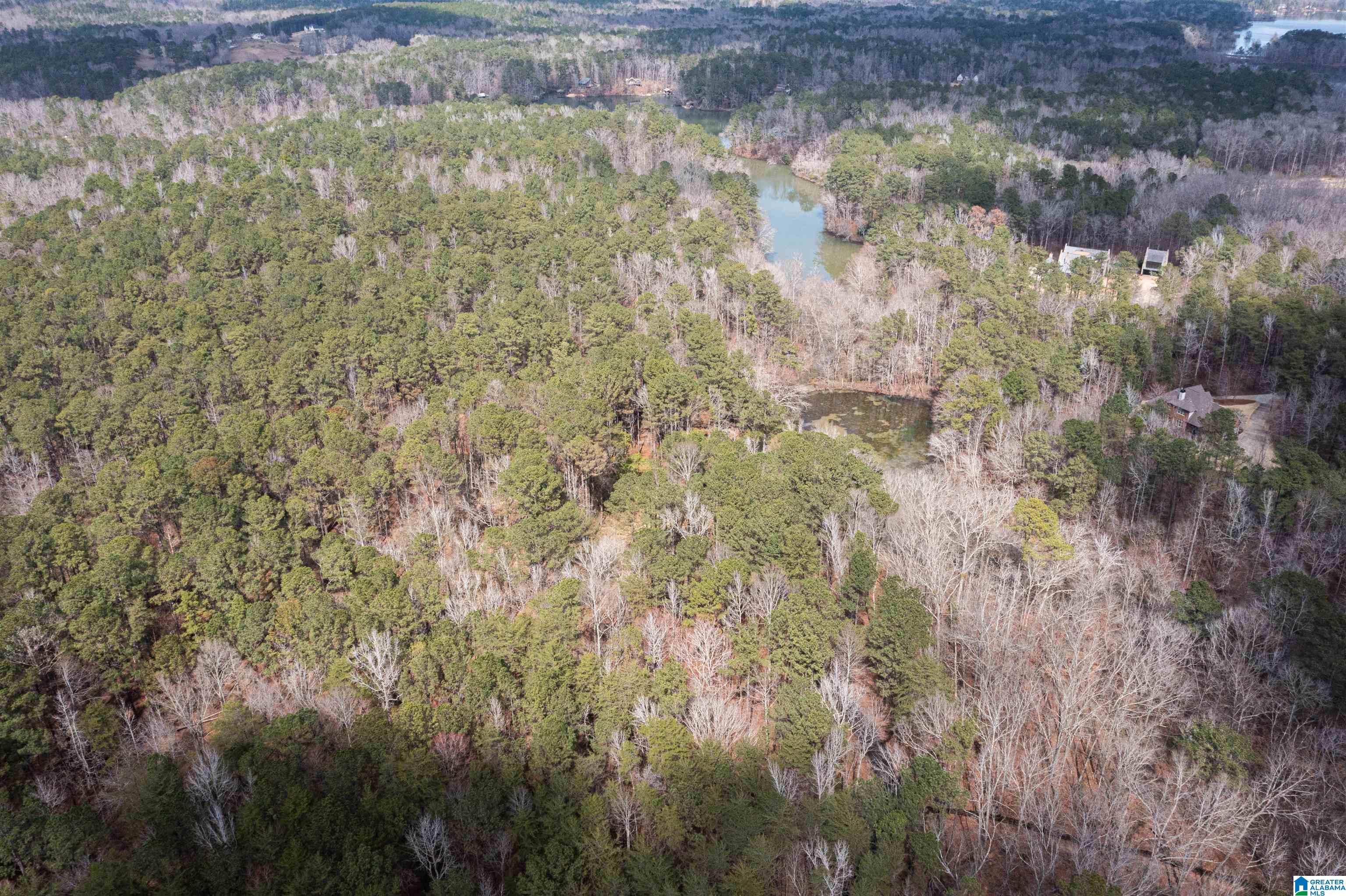 958 Smyer Lake Road Leeds, AL 35094 - Photo 2 of 10