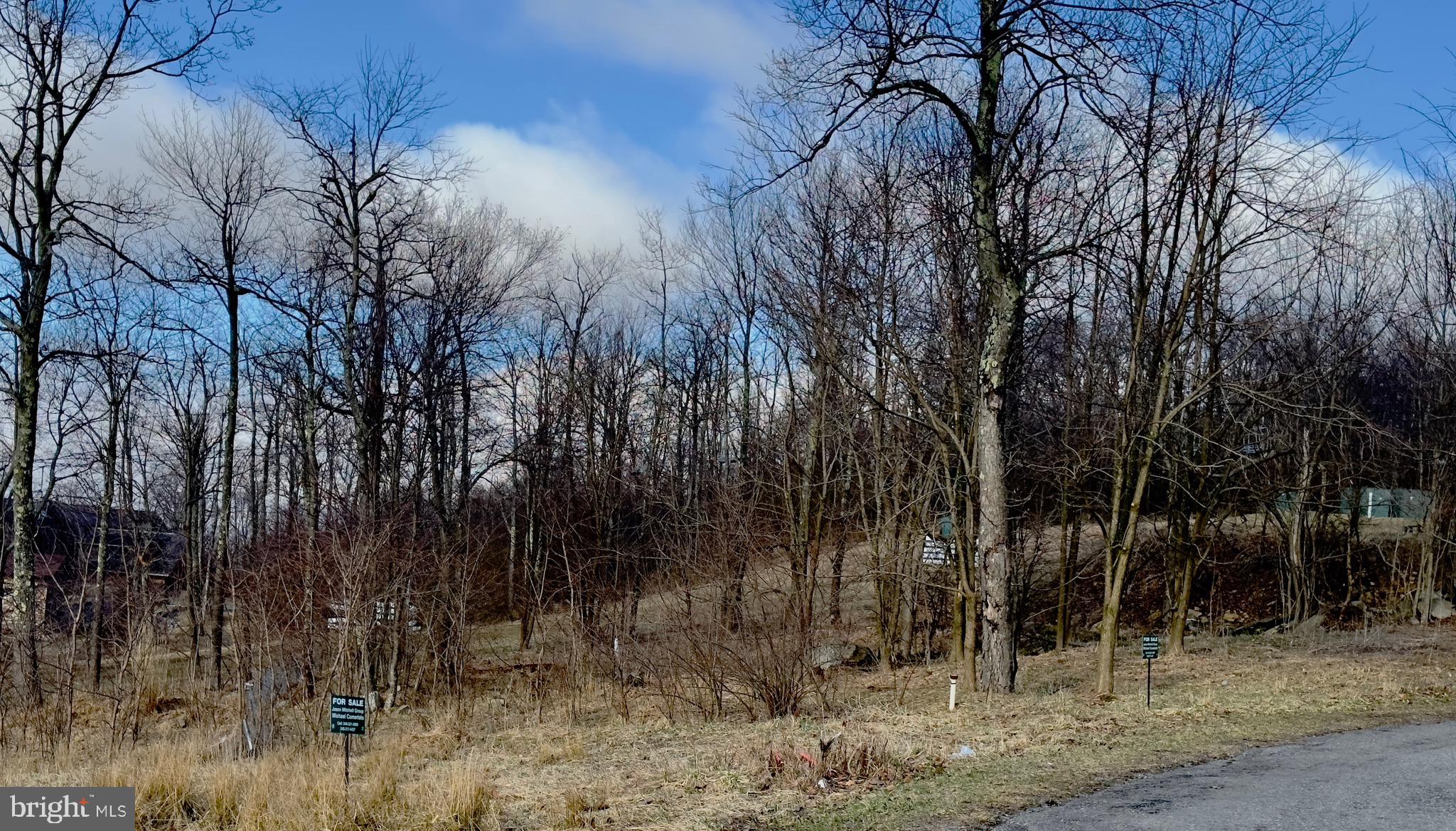 27-28 Ridge Run Road McHenry, MD 21541 - Photo 12 of 15