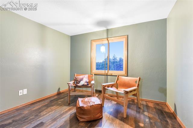 1701 Wildhorn Road Florissant, CO 80816 - Photo 28 of 50 Gallery Image 28