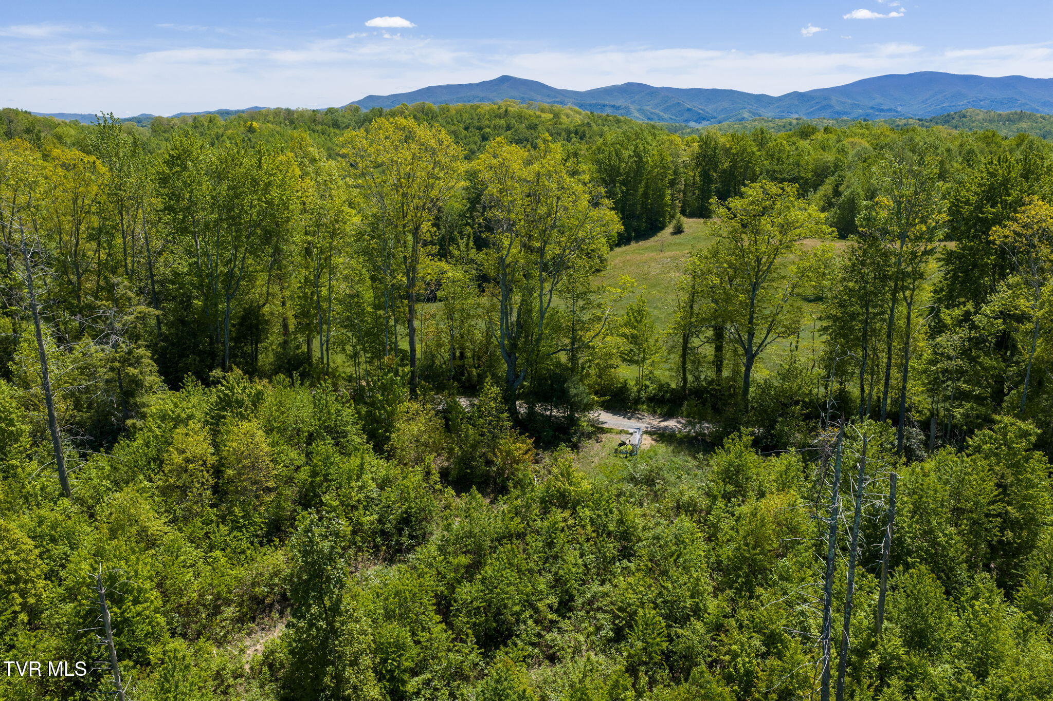 Tbd Walnut Mountain Road, Unit TBD Butler, TN 37640 - Photo 8 of 22 10-web-or-mls-DJI_20260512141749_0706_D