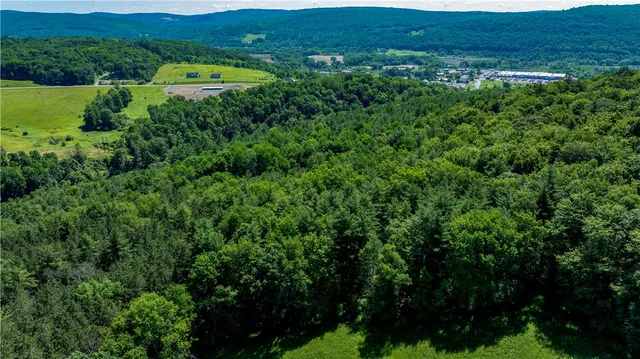 $412,500 | Lower Ravine Road, Norwich, NY 13815