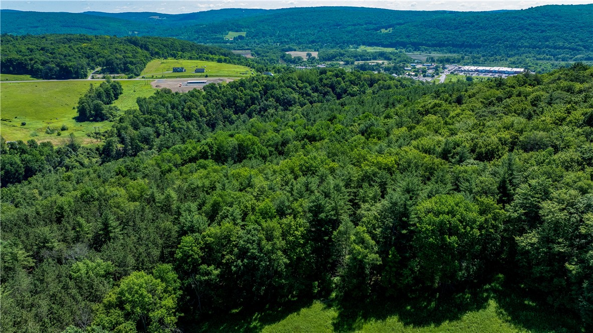 Lower Ravine Road Norwich, NY 13815 - Photo 11 of 23