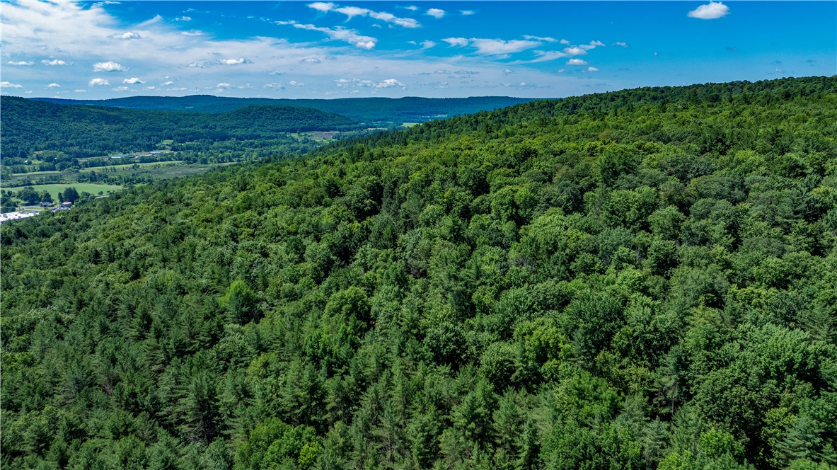 Lower Ravine Road Norwich, NY 13815 - Photo 12 of 23