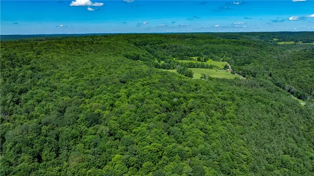 $412,500 | Lower Ravine Road, Norwich, NY 13815