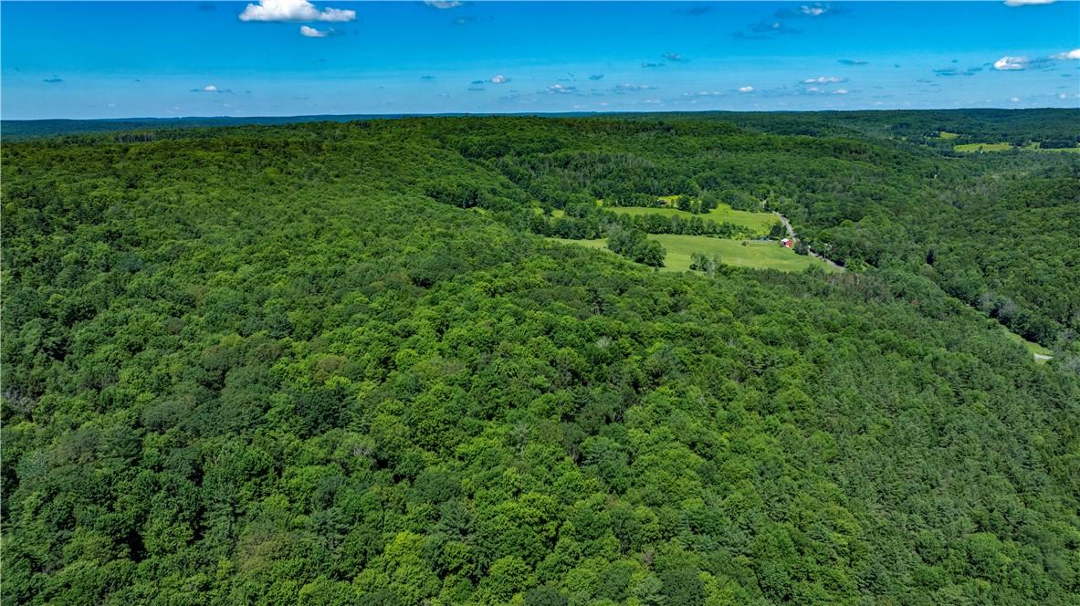 Lower Ravine Road Norwich, NY 13815 - Photo 13 of 23