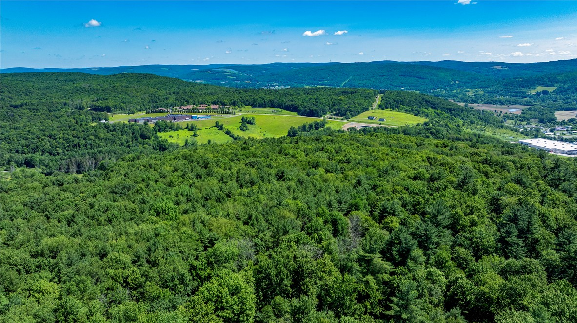 Lower Ravine Road Norwich, NY 13815 - Photo 14 of 23