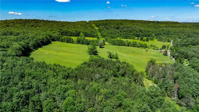 $412,500 | Lower Ravine Road, Norwich, NY 13815