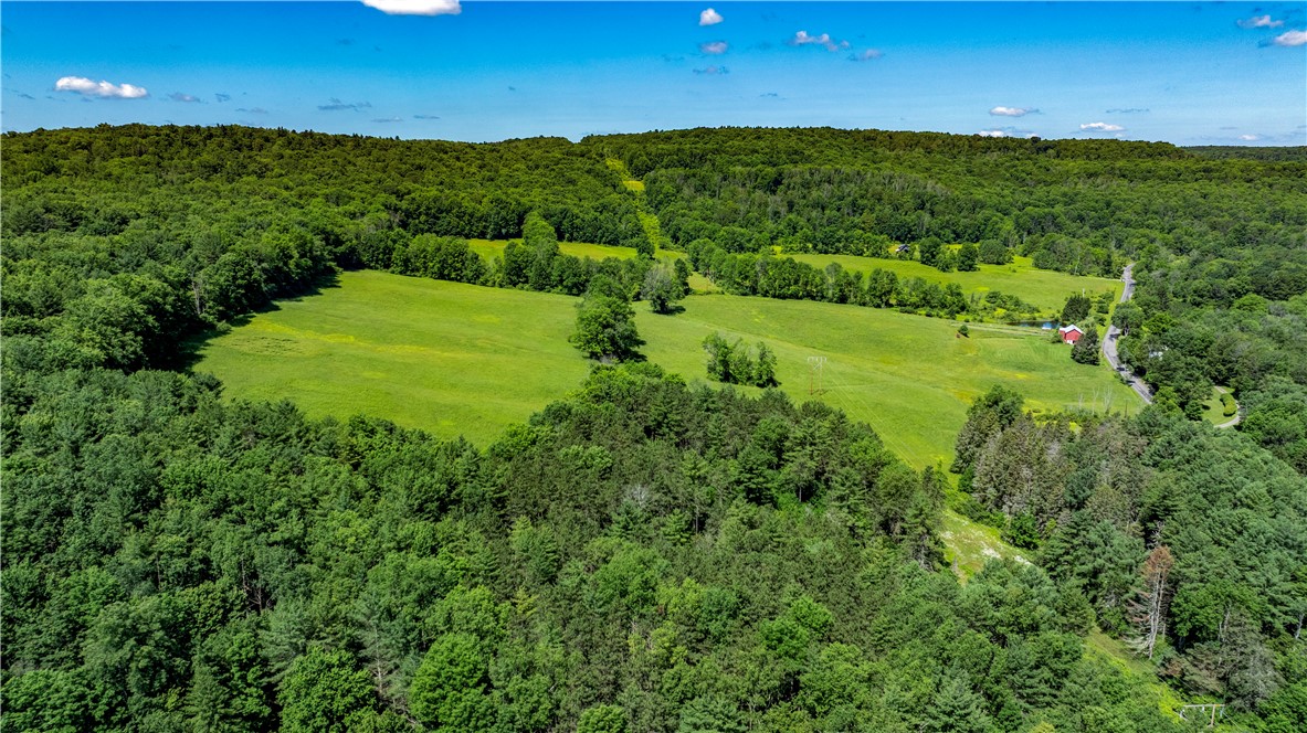 Lower Ravine Road Norwich, NY 13815 - Photo 15 of 23