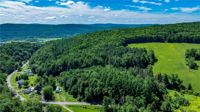 $412,500 | Lower Ravine Road, Norwich, NY 13815