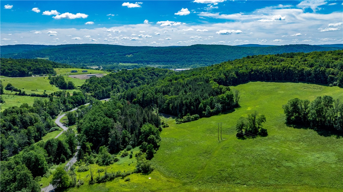 Lower Ravine Road Norwich, NY 13815 - Photo 17 of 23