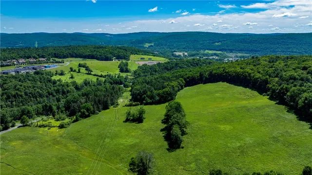 $412,500 | Lower Ravine Road, Norwich, NY 13815