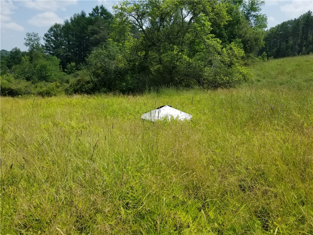 Lower Ravine Road Norwich, NY 13815 - Photo 20 of 23