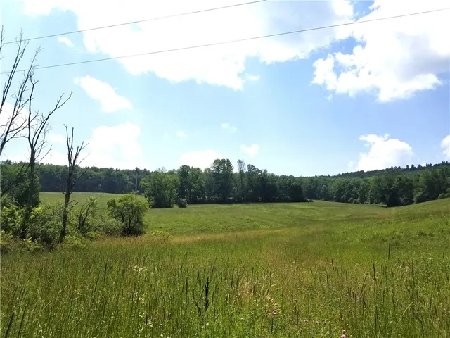 $412,500 | Lower Ravine Road, Norwich, NY 13815