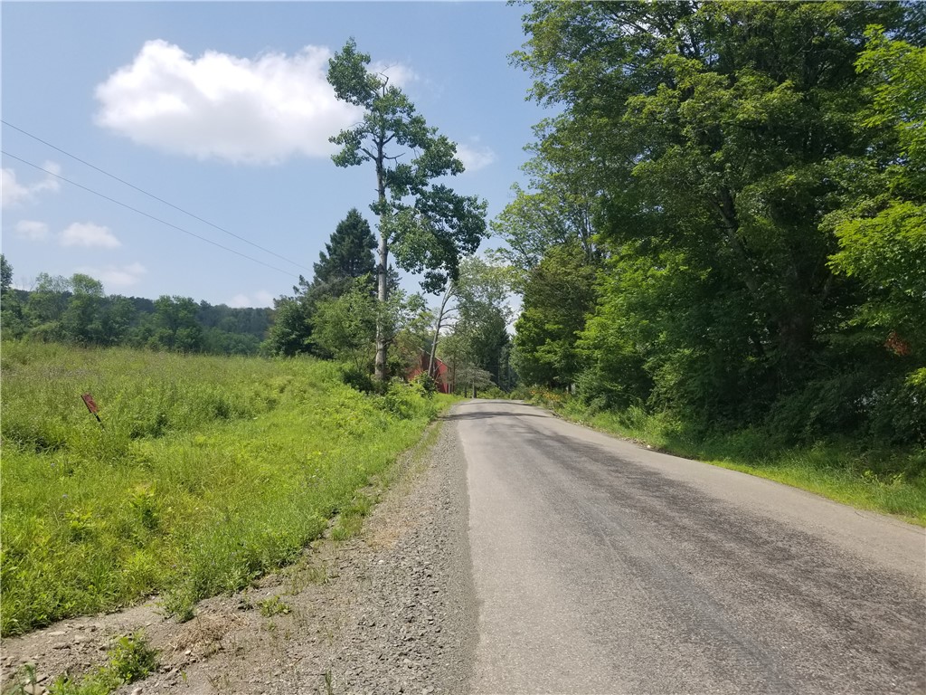 Lower Ravine Road Norwich, NY 13815 - Photo 22 of 23