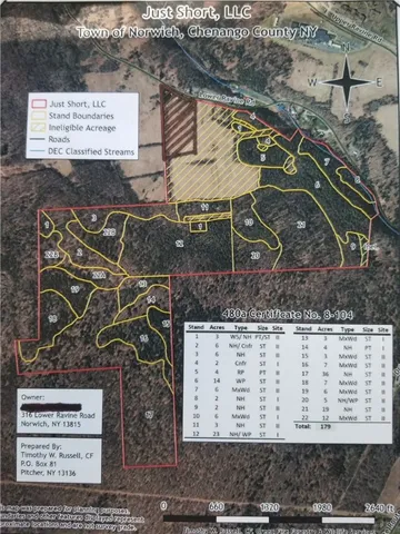 $412,500 | Lower Ravine Road, Norwich, NY 13815