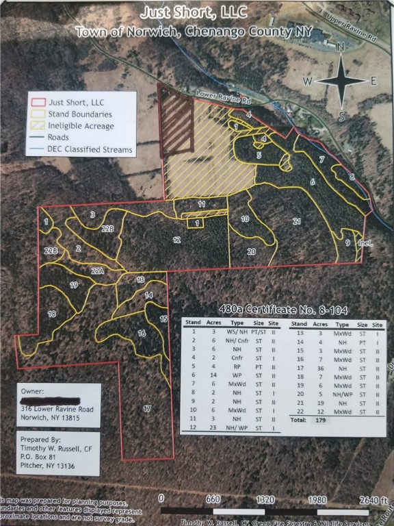 Lower Ravine Road Norwich, NY 13815 - Photo 5 of 23