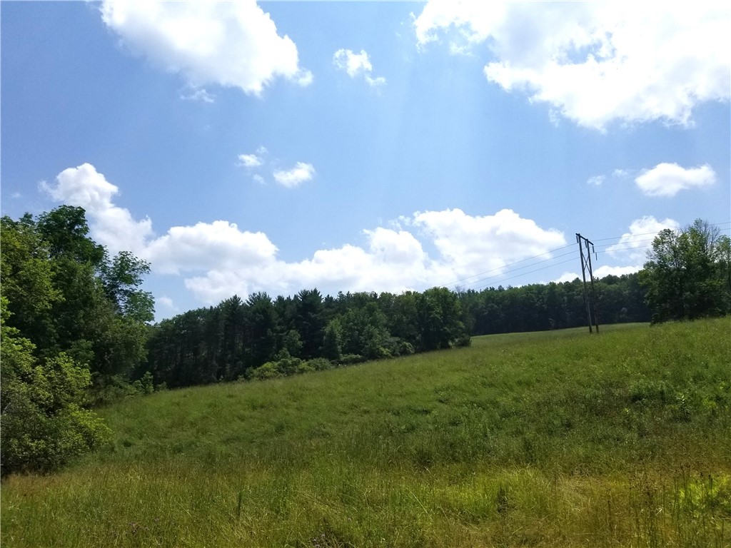 Lower Ravine Road Norwich, NY 13815 - Photo 6 of 23