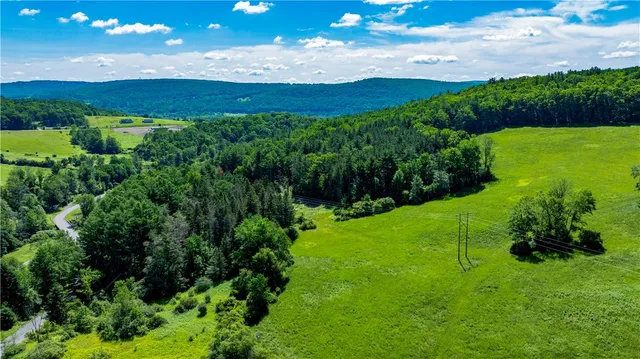 $412,500 | Lower Ravine Road, Norwich, NY 13815