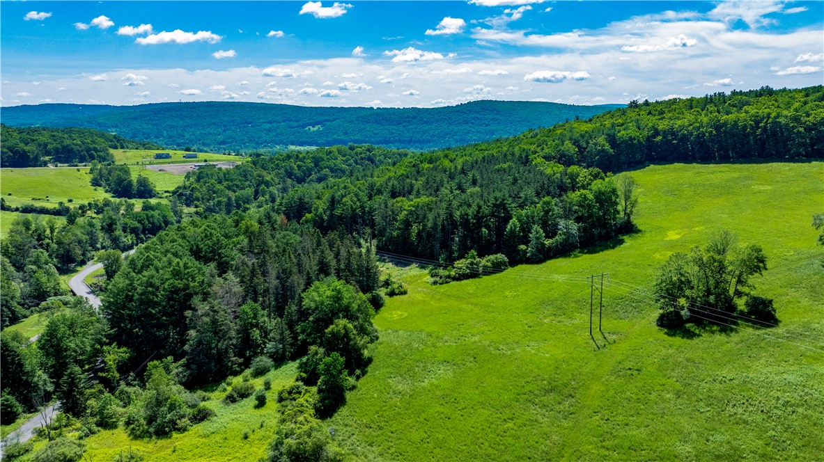 Lower Ravine Road Norwich, NY 13815 - Photo 7 of 23