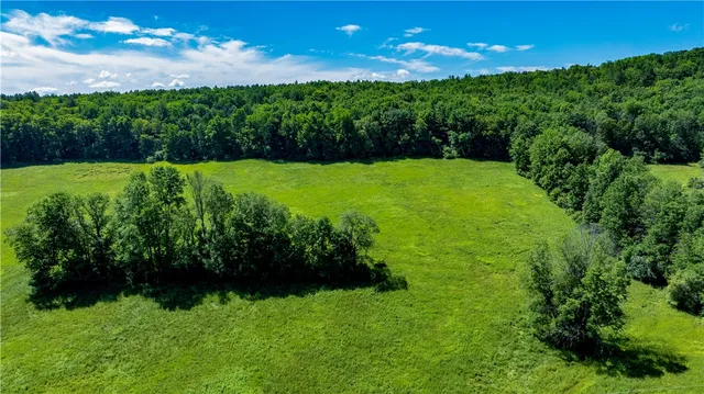 $412,500 | Lower Ravine Road, Norwich, NY 13815