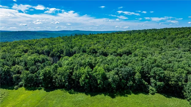 $412,500 | Lower Ravine Road, Norwich, NY 13815