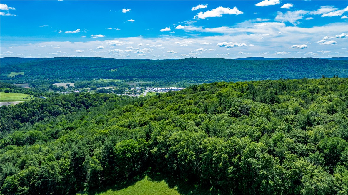 Lower Ravine Road Norwich, NY 13815 - Photo 10 of 23