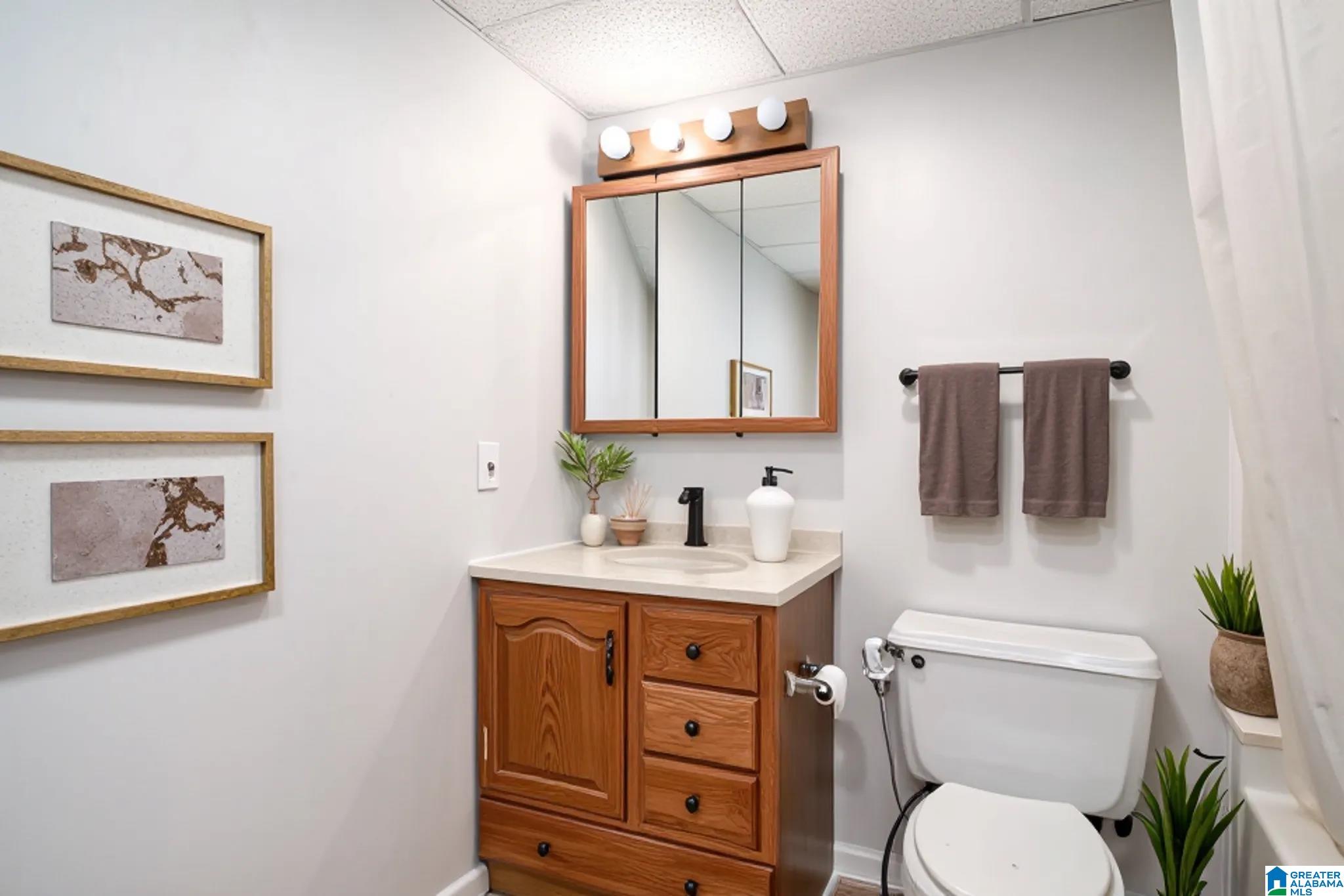 4100 South Shades Crest Road Birmingham, AL 35244 - Photo 20 of 25