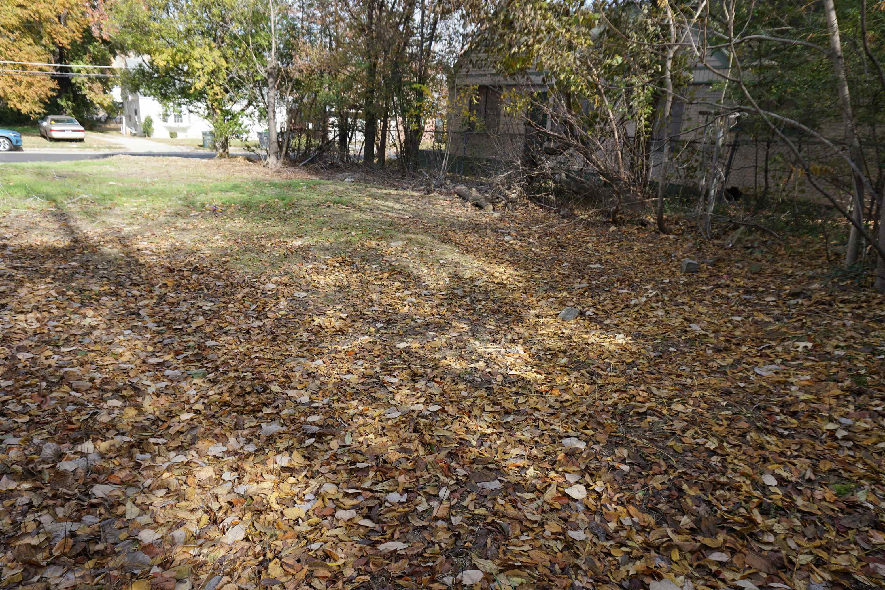 2425 Forest Avenue Memphis, TN 38112 - Photo 2 of 3 a view of a yard with a tree