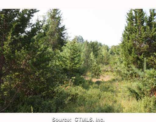65 Sullivan Road Lisbon, CT 06351 - Photo 1 of 1 a view of a large yard