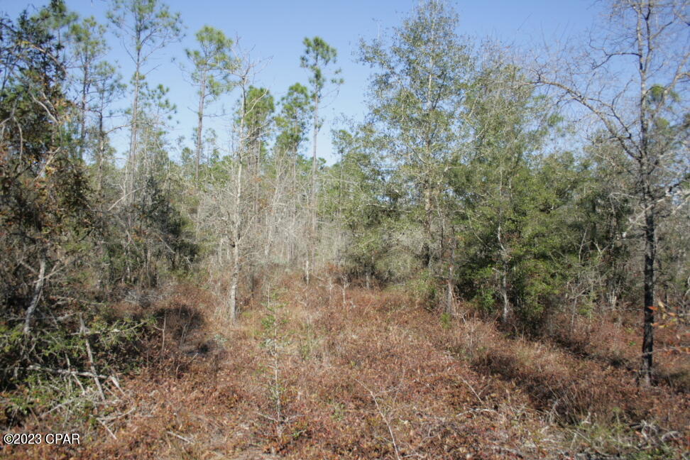 19732 Timbercrest Road Fountain, FL 32438 - Photo 27 of 40