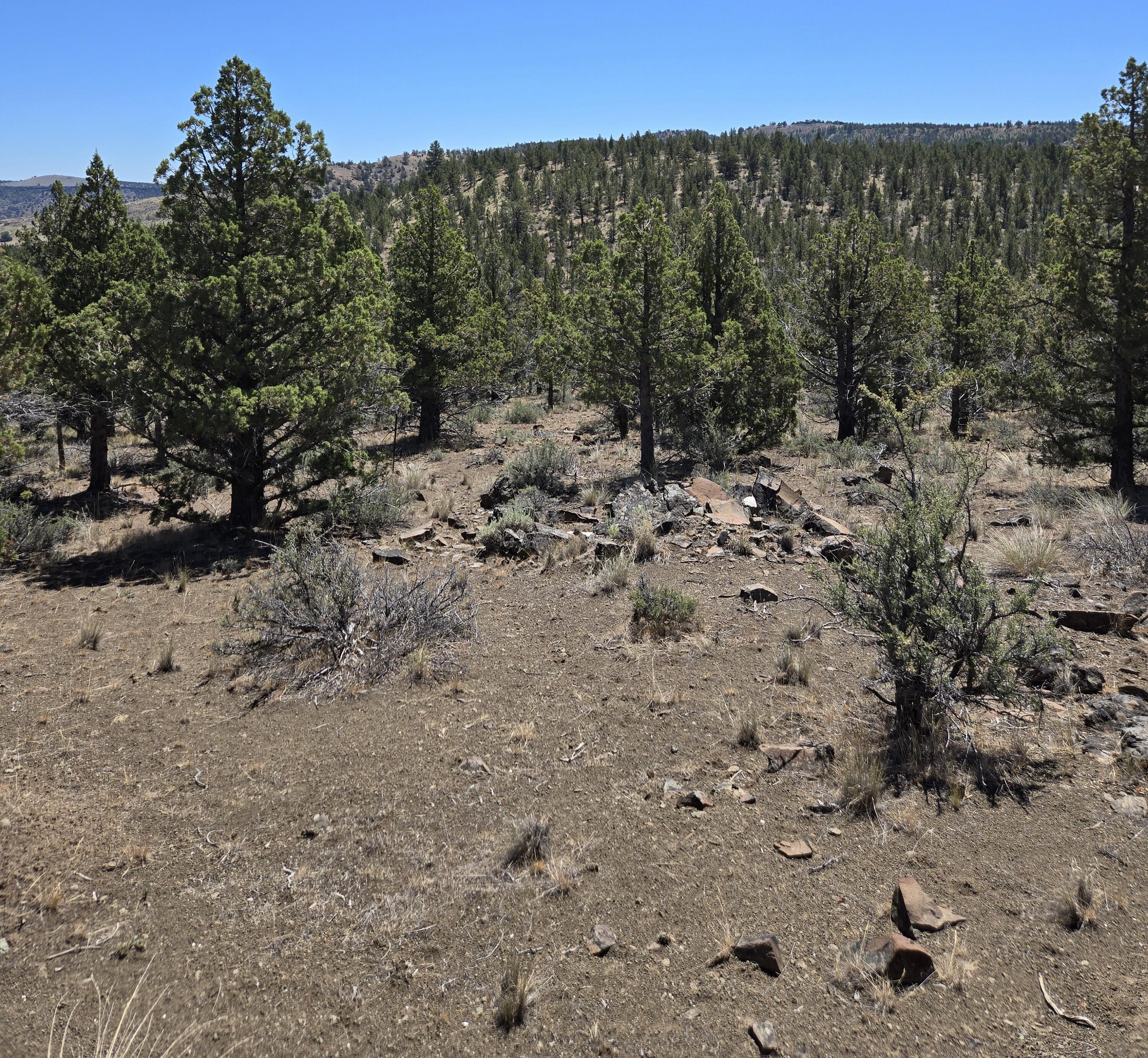 20102 Osprey Road, Unit 800 Prineville, OR 97754 - Photo 9 of 20 20250712_115923