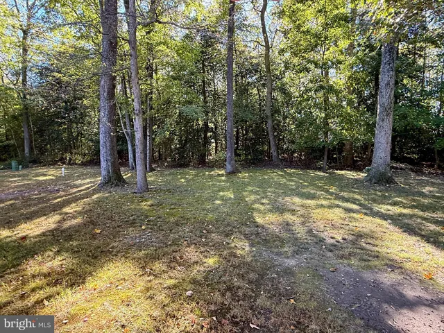 a view of outdoor space with trees