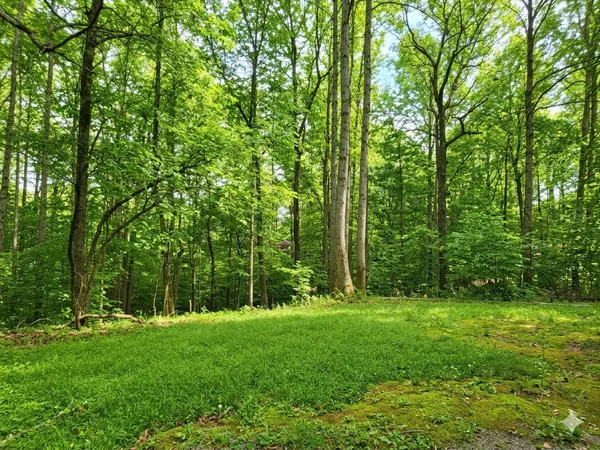 a view of outdoor space and yard