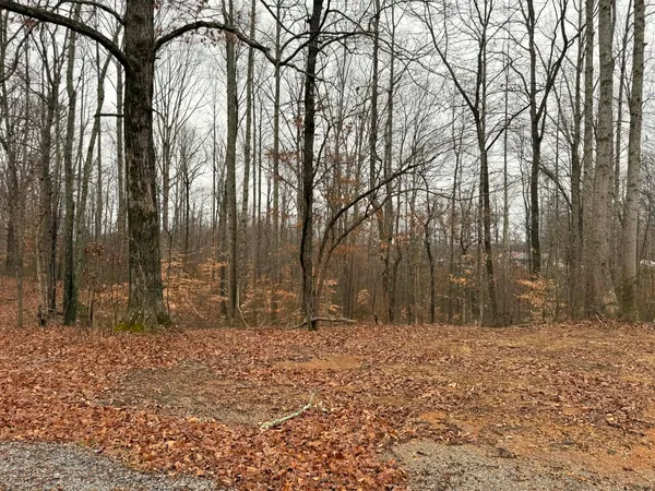 a backyard of a house with trees