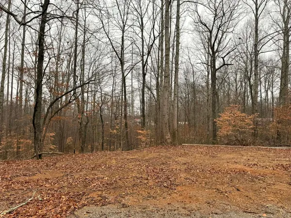 a backyard of a house with large trees