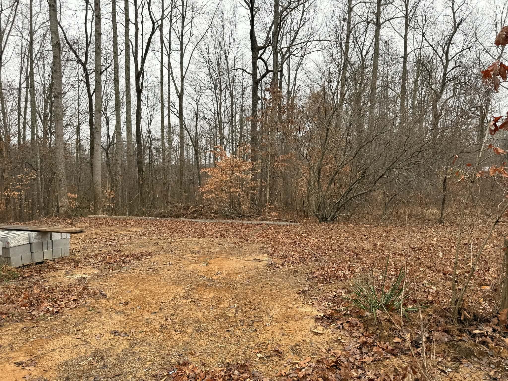 0 Periwinkle Path Leoma, TN 38468 - Photo 5 of 7 a view of a backyard of the house