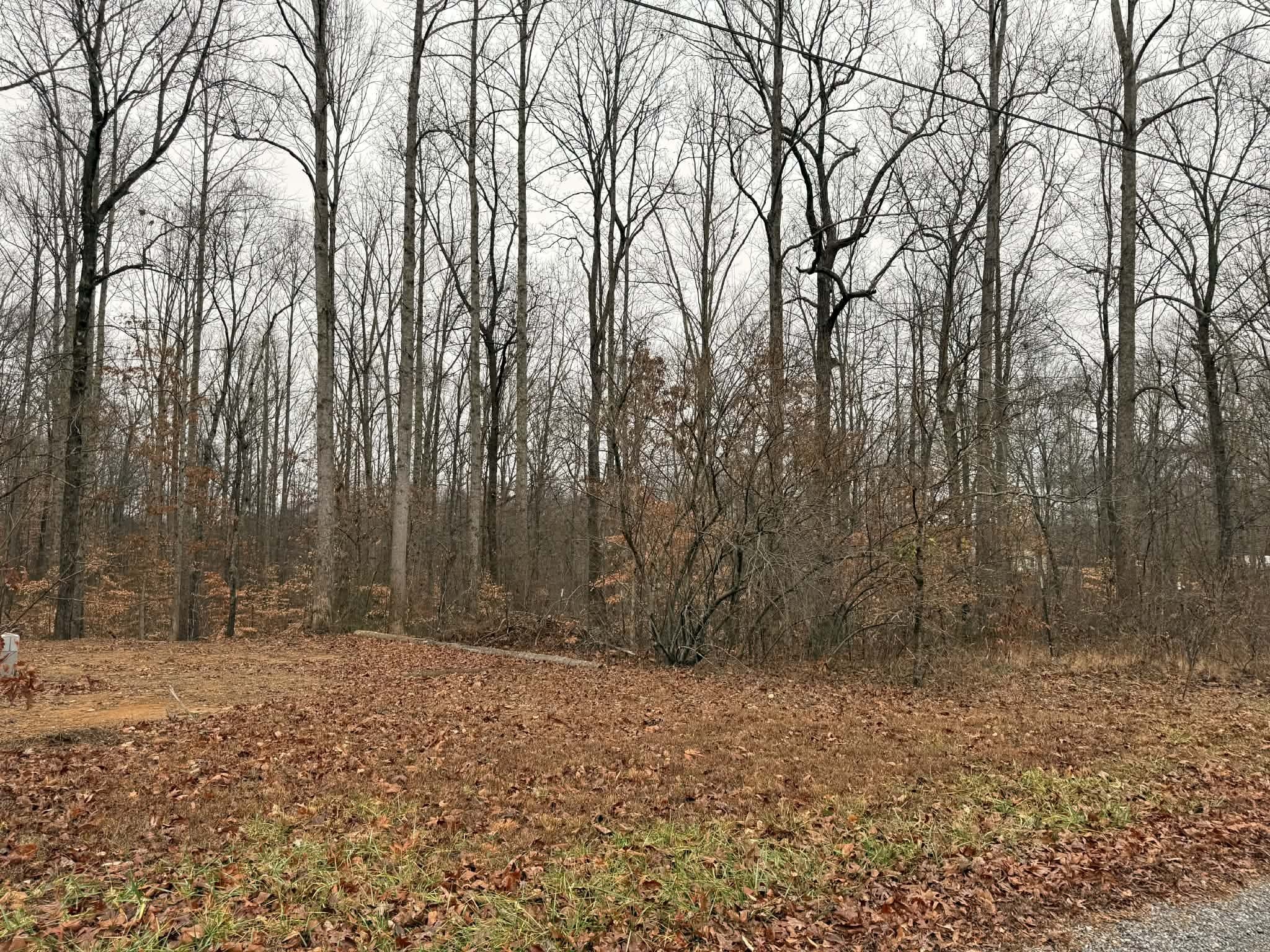 0 Periwinkle Path Leoma, TN 38468 - Photo 6 of 7 a backyard of a house with lots of green space