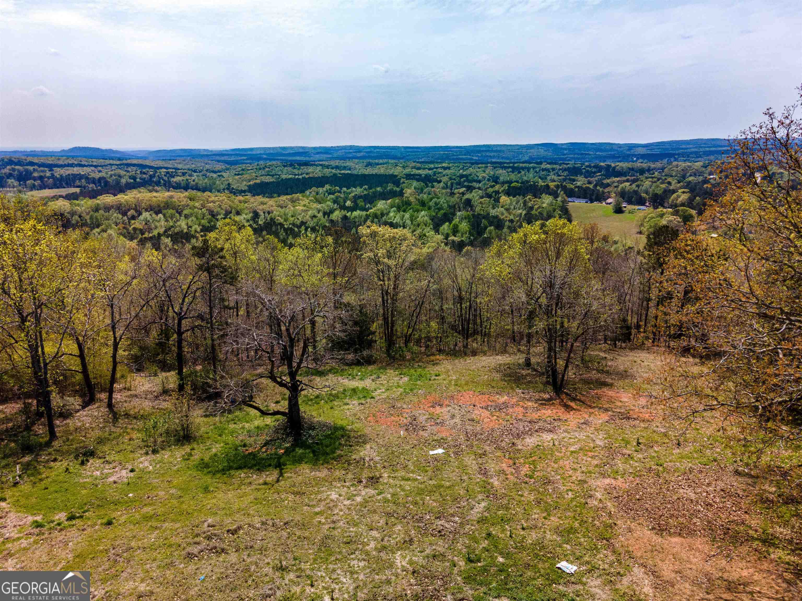 7120 Scenic Heights Road Manchester, GA 31816 - Photo 1 of 1 Gallery Image 1
